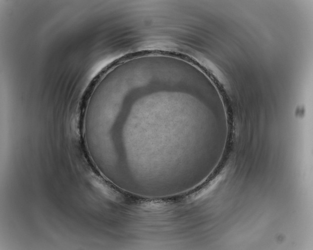 X0000102390830200808011558