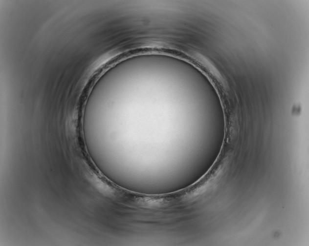 X0000102390831200808011558