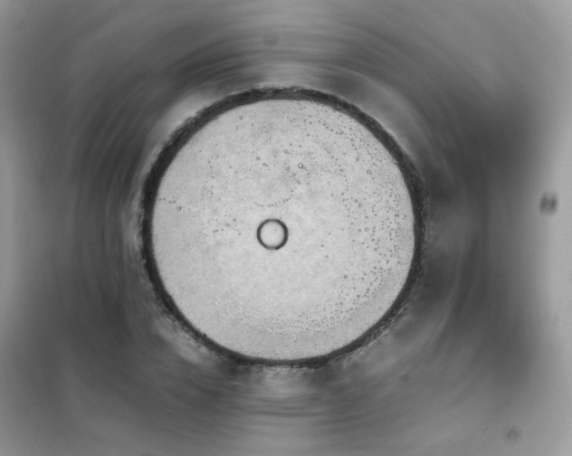 X0000102390832200808011558