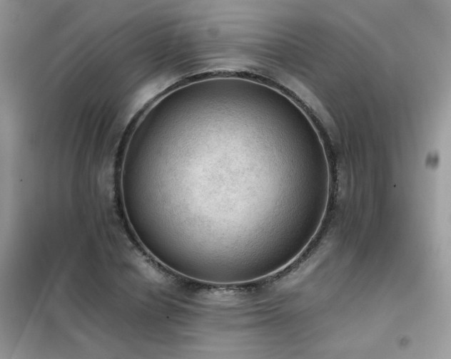 X0000102390834200808011558