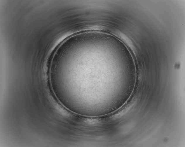 X0000102390835200808011558