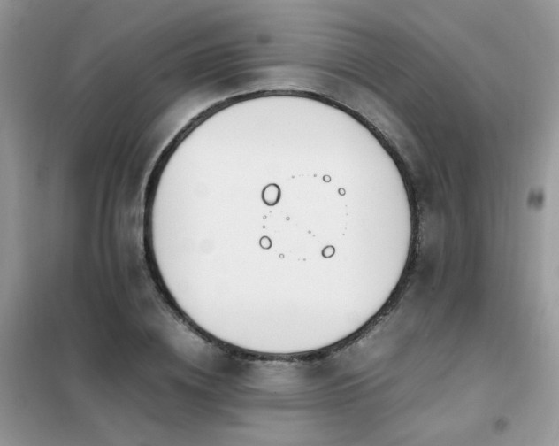 X0000102390836200808011558