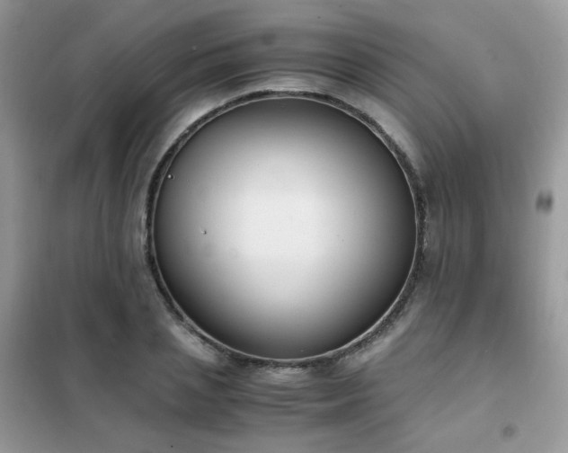 X0000102390837200808011558