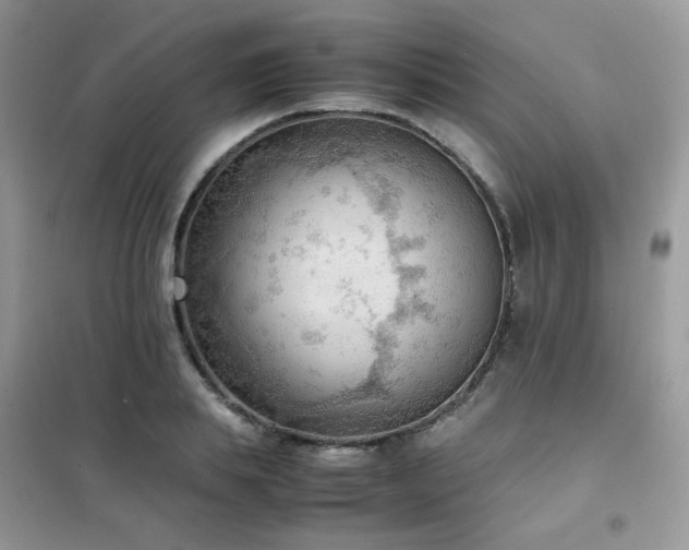 X0000102390839200808011558