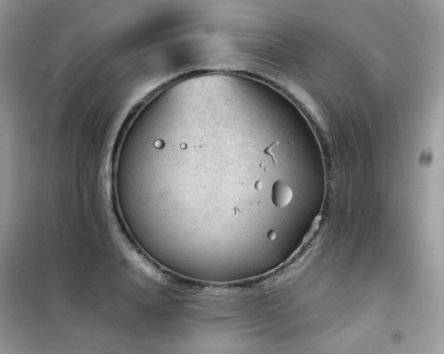 X0000102390840200808011558