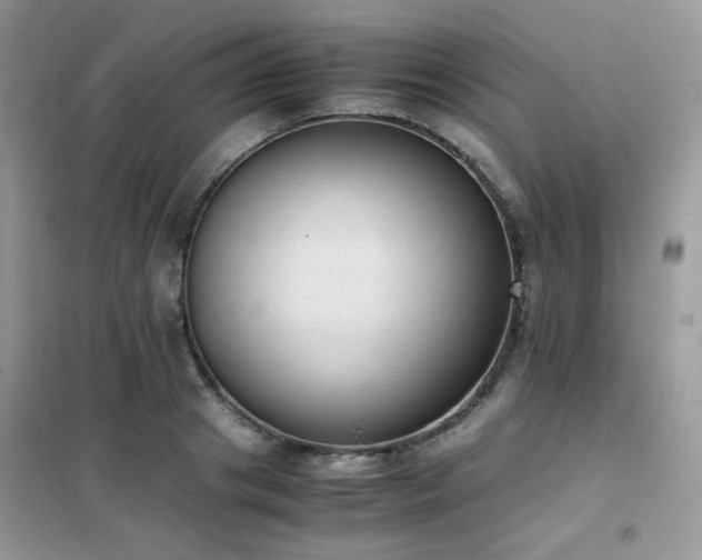 X0000102390841200808011558