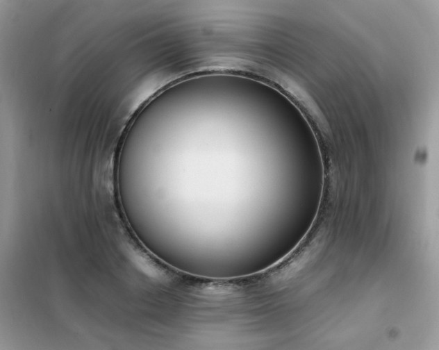 X0000102390842200808011558