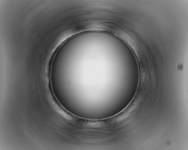 X0000102390843200808011558