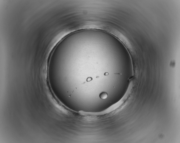 X0000102390844200808011558