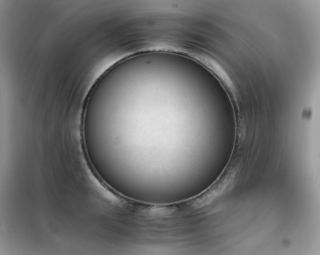 X0000102390847200808011558