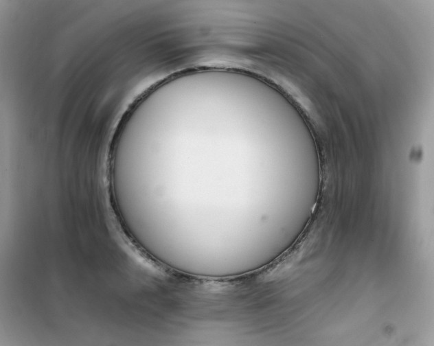 X0000102390848200808011558