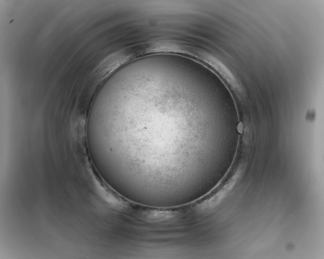 X0000102390849200808011558