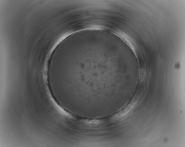 X0000102390851200808011558