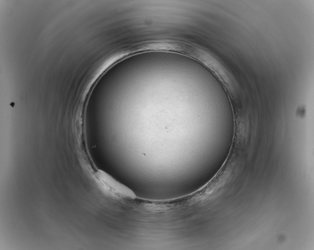 X0000102390852200808011558