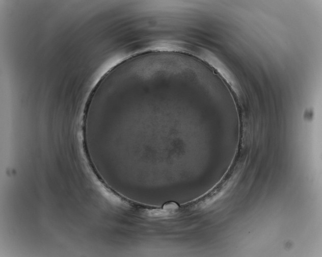 X0000102390853200808011558