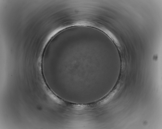 X0000102390854200808011558