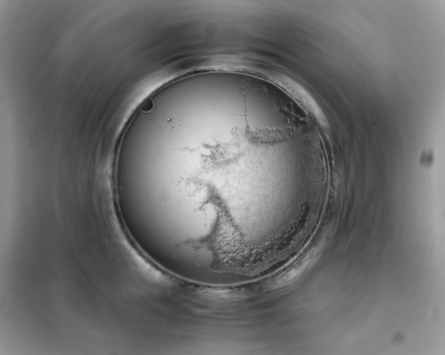 X0000102390855200808011558