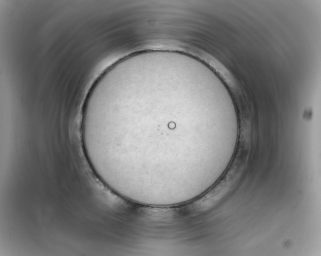 X0000102390856200808011558