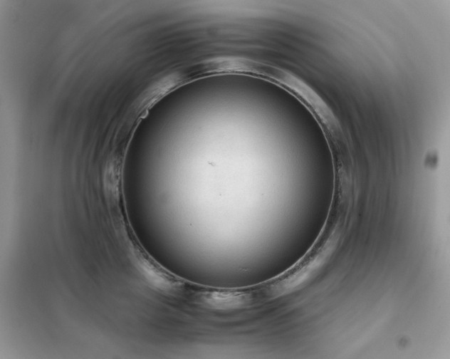 X0000102390857200808011558