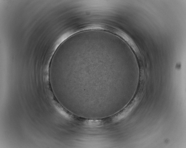 X0000102390858200808011558