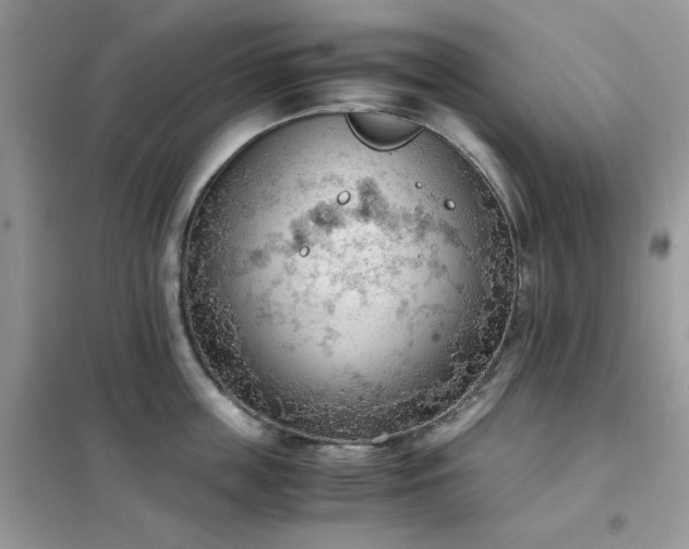 X0000102390859200808011558