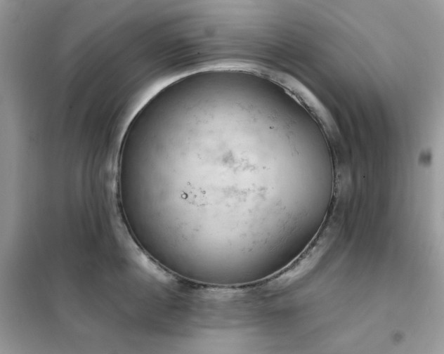 X0000102390860200808011558