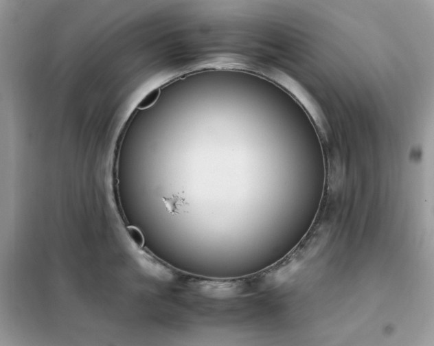 X0000102390861200808011558