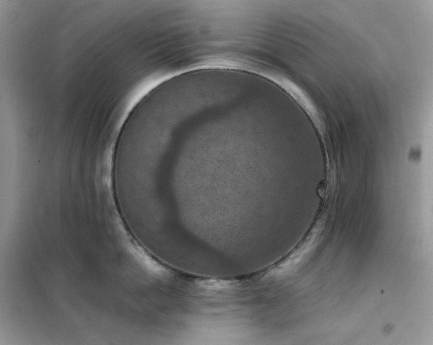 X0000102390862200808011558