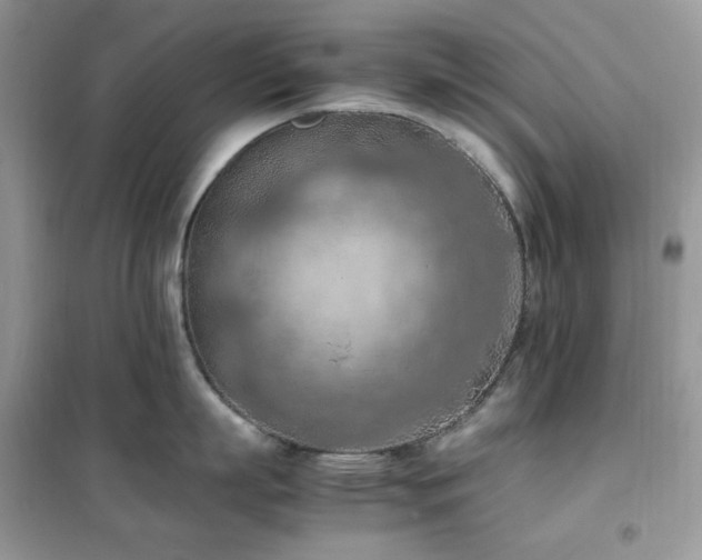 X0000102390863200808011558