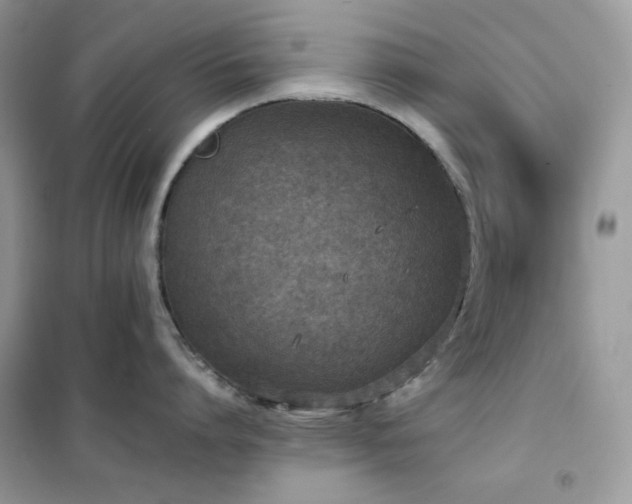 X0000102390864200808011558