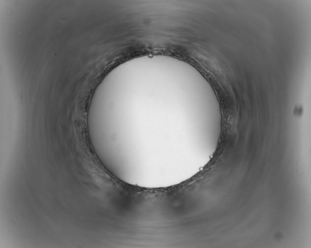 X0000102390865200808011558