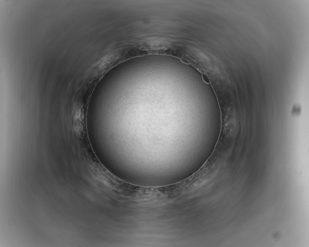 X0000102390866200808011558