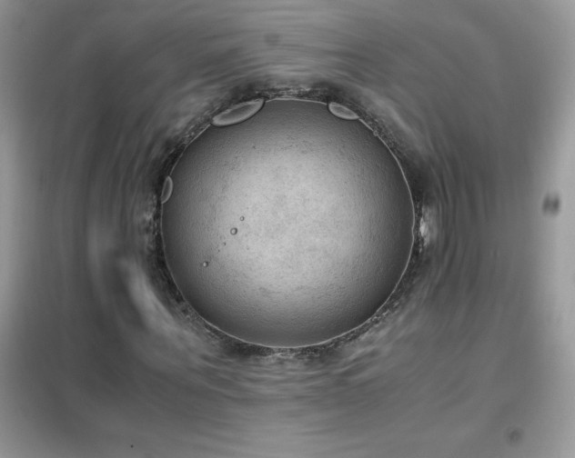 X0000102390867200808011558