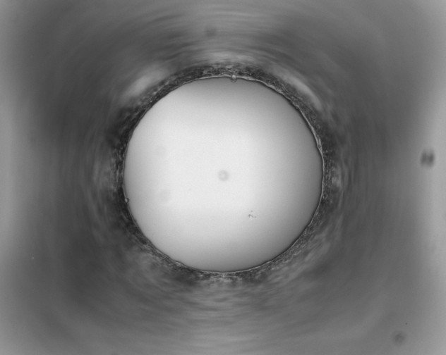 X0000102390869200808011558