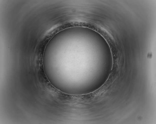 X0000102390870200808011558