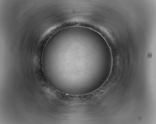 X0000102390872200808011558