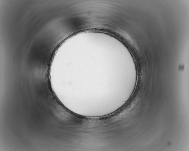 X0000102390873200808011557