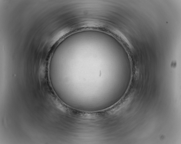 X0000102390874200808011557