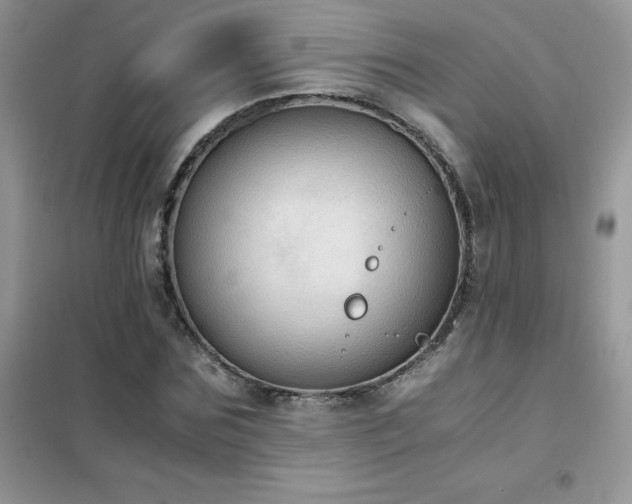 X0000102390875200808011557