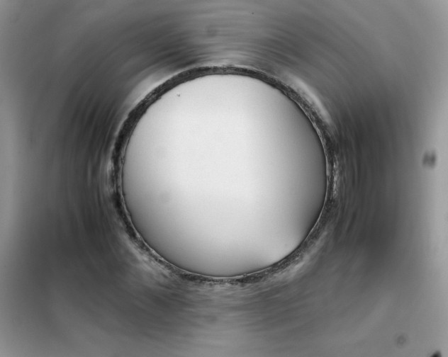 X0000102390876200808011557