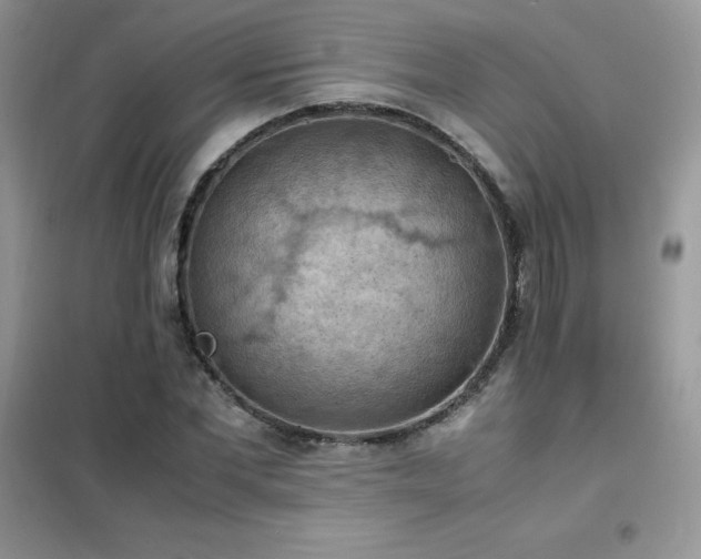 X0000102390877200808011557