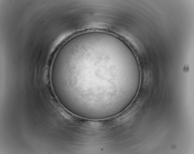 X0000102390878200808011557