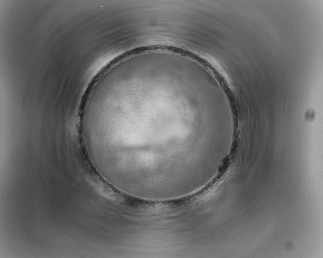 X0000102390879200808011557