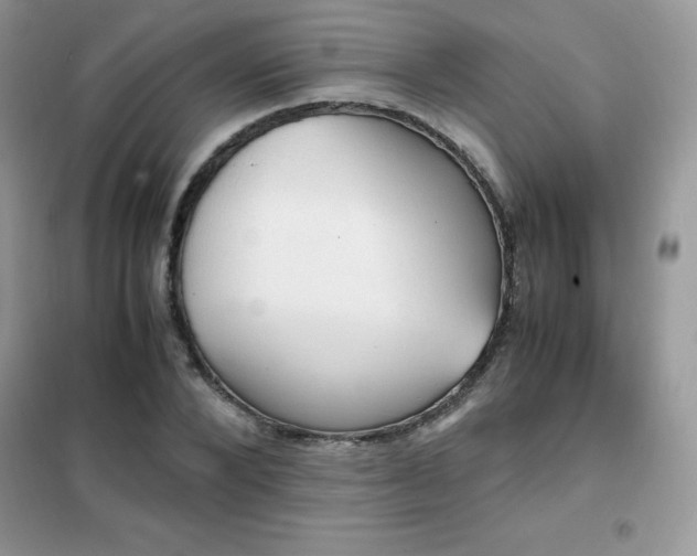 X0000102390880200808011557