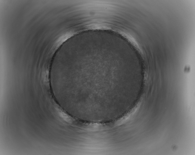 X0000102390881200808011557