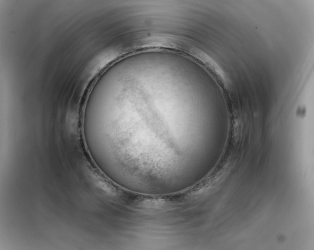 X0000102390882200808011557