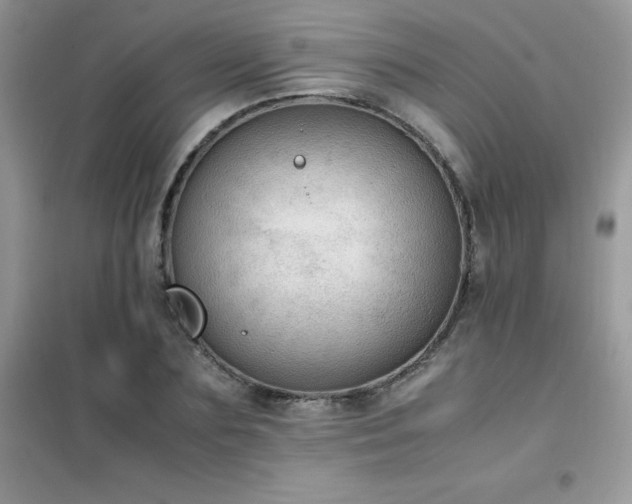 X0000102390883200808011557