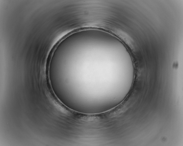 X0000102390884200808011557