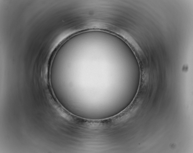 X0000102390886200808011557