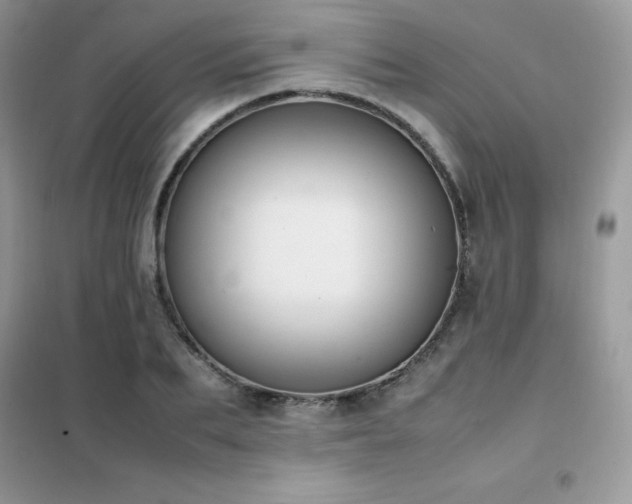 X0000102390887200808011557